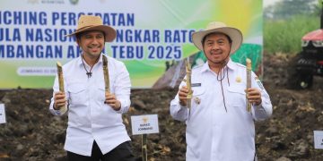 Jombang Luncurkan Program Bongkar Ratoon 2025, Targetkan Produktivitas Tebu Tembus 100 Ton per Hektare