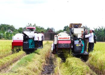 Pemkab Kediri Pastikan Ketersediaan Pupuk, Dukung Swasembada Pangan dan Kesejahteraan Petani