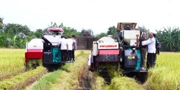 Pemkab Kediri Pastikan Ketersediaan Pupuk, Dukung Swasembada Pangan dan Kesejahteraan Petani