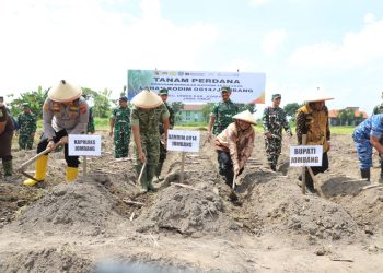 Bupati Jombang Launching Penanaman Tebu Perdana di Lahan Kodim