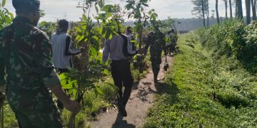 TNI Hijaukan Cagar Alam Simpenan, 70 Personel Gabungan Tanam Pohon di Lokasi TMMD ke-127