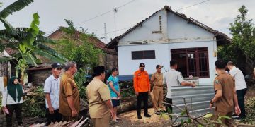 BPBD Jombang Bergerak Cepat Tangani Angin Kencang, Salurkan Bantuan ke Warga Terdampak