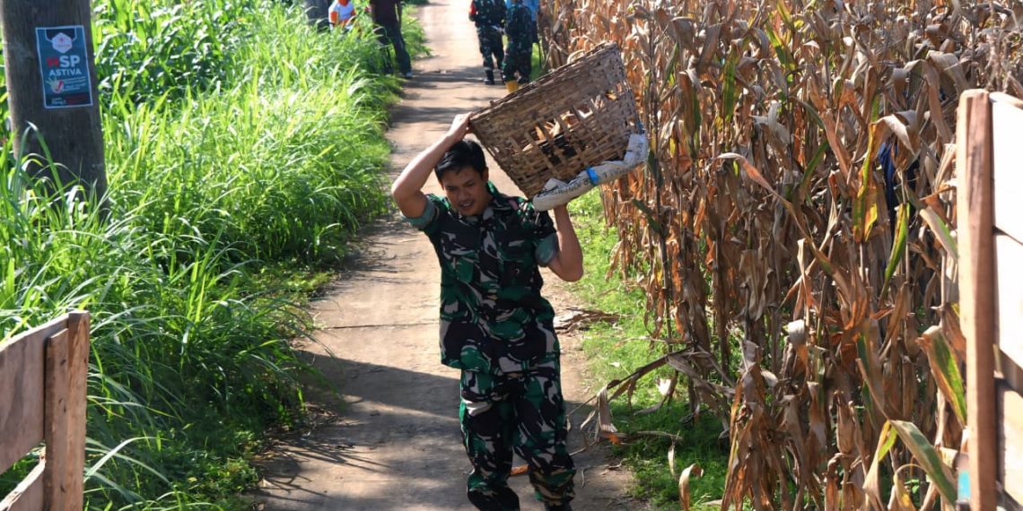 Sinergi Ketahanan Pangan, Satgas TMMD ke-127 dan Petani Gadungan Gelar Panen Raya Jagung