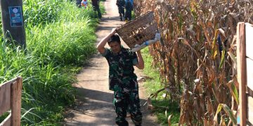 Sinergi Ketahanan Pangan, Satgas TMMD ke-127 dan Petani Gadungan Gelar Panen Raya Jagung