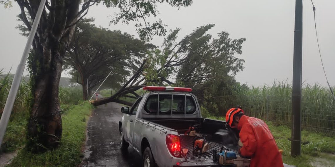 Kota Kediri Dilanda Hujan Angin, 18 Titik Pohon Tumbang Hingga Rumah Warga Rusak Berat