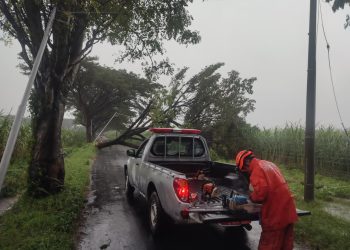 Kota Kediri Dilanda Hujan Angin, 18 Titik Pohon Tumbang Hingga Rumah Warga Rusak Berat