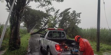 Kota Kediri Dilanda Hujan Angin, 18 Titik Pohon Tumbang Hingga Rumah Warga Rusak Berat