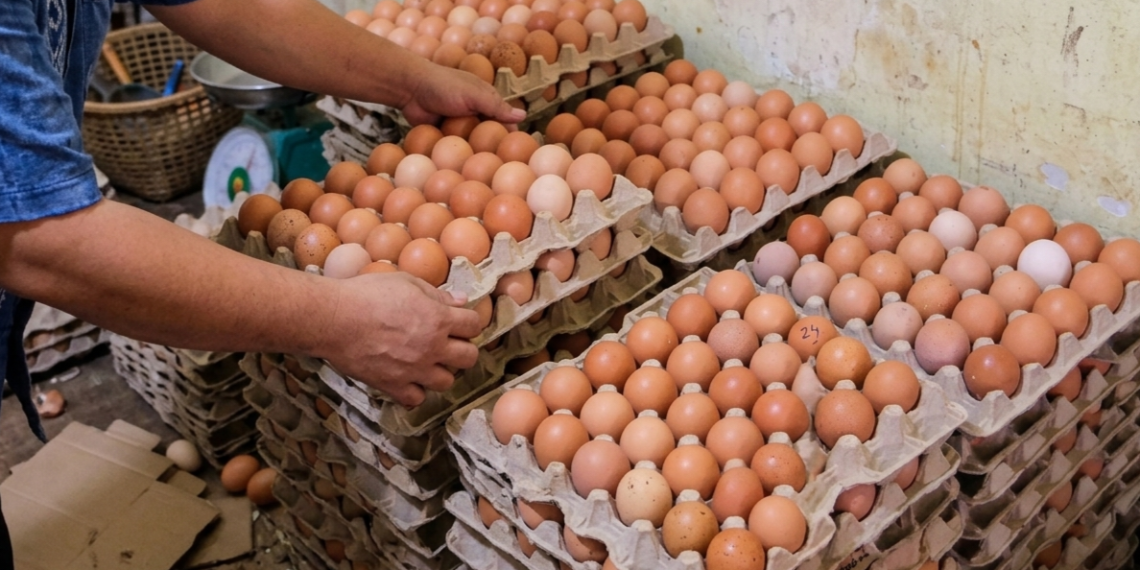 Harga Telur Blitar Anjlok, M. Sarmuji Desak Pemerintah Masifkan Menu Telur di Program Makan Bergizi Gratis