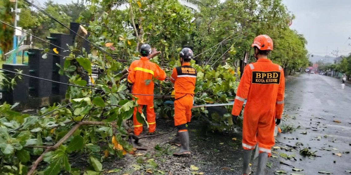 Kota Kediri Dilanda Cuaca Ekstrem, BPBD Tangani Pohon Tumbang di 13 Titik Strategis