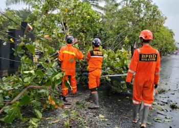 Kota Kediri Dilanda Cuaca Ekstrem, BPBD Tangani Pohon Tumbang di 13 Titik Strategis