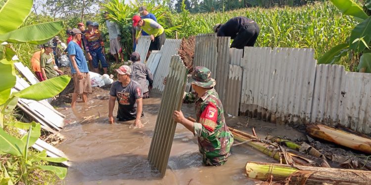 Cegah Banjir dan Amankan Lahan Tani, Babinsa Pesantren Ajak Warga Bersihkan Sungai Pulerejo