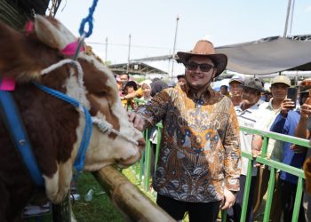 Mas Dhito Dorong Kontes Sapi Jadi Agenda Tahunan Terbaik di Jawa Timur