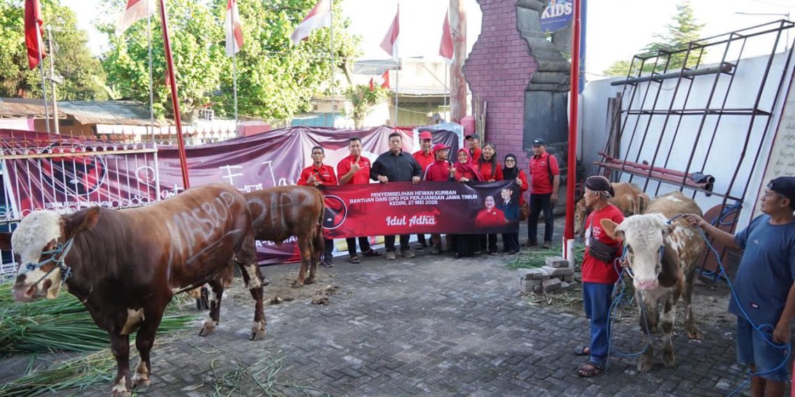 Wujud Gotong Royong, PDI Perjuangan Kabupaten Kediri Salurkan Empat Ekor Sapi Kurban
