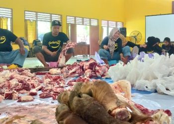 Perkuat Ukhuwah, Golkar Kabupaten Kediri Bagikan 500 Paket Daging Kurban