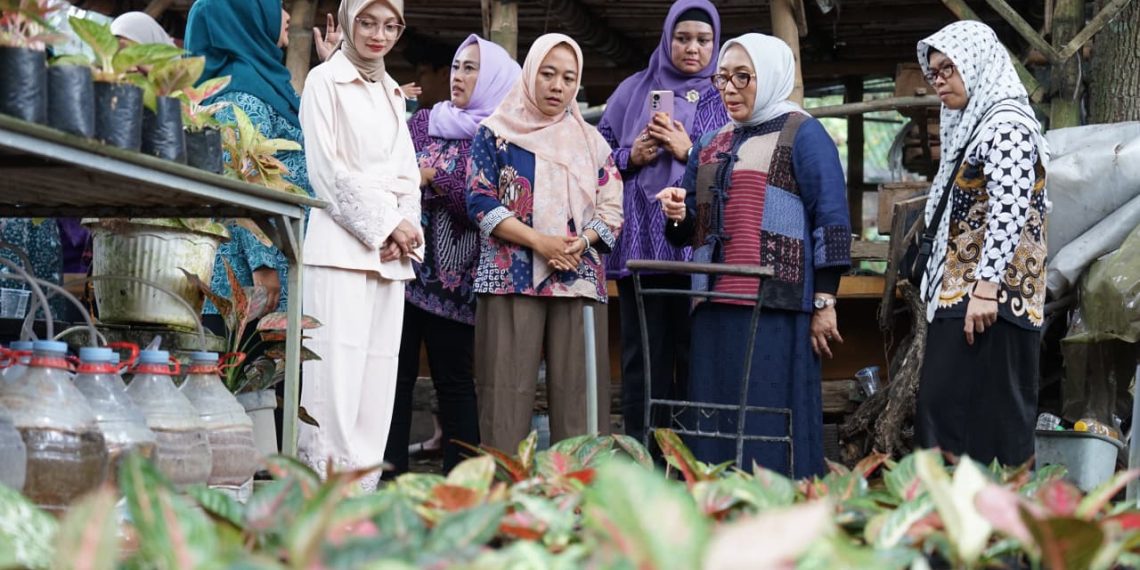 Mbak Wali Dampingi Menteri PPPA Tinjau KWT Flamboyan Ketami, Apresiasi Kemandirian Pangan Perempuan Kediri