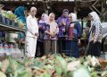 Mbak Wali Dampingi Menteri PPPA Tinjau KWT Flamboyan Ketami, Apresiasi Kemandirian Pangan Perempuan Kediri