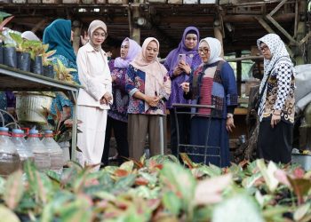 Mbak Wali Dampingi Menteri PPPA Tinjau KWT Flamboyan Ketami, Apresiasi Kemandirian Pangan Perempuan Kediri