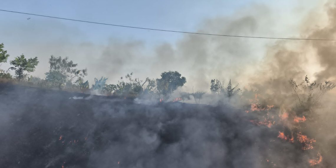 Asap Bakar Sampah Dekati Jalur Rel Saradan-Bagor, KAI Daop 7 Madiun Ingatkan Bahaya Kebakaran Lahan