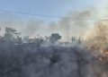 Asap Bakar Sampah Dekati Jalur Rel Saradan-Bagor, KAI Daop 7 Madiun Ingatkan Bahaya Kebakaran Lahan