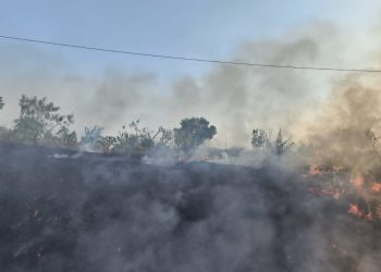 Asap Bakar Sampah Dekati Jalur Rel Saradan-Bagor, KAI Daop 7 Madiun Ingatkan Bahaya Kebakaran Lahan