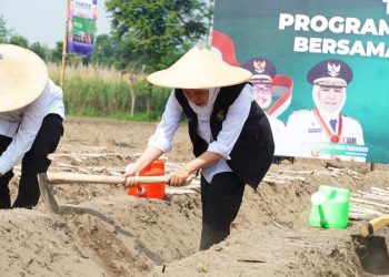 Pemkab Kediri Optimistis Capai Target 7.000 Hektare Bongkar Ratoon