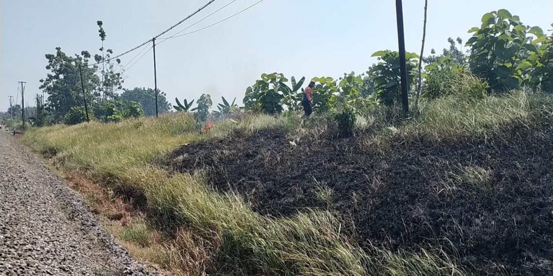 KAI Daop 7 Madiun Larang Pembakaran Jerami di Dekat Rel, Bisa Picu Hentian Luar Biasa Kereta Api