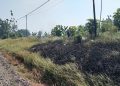 KAI Daop 7 Madiun Larang Pembakaran Jerami di Dekat Rel, Bisa Picu Hentian Luar Biasa Kereta Api