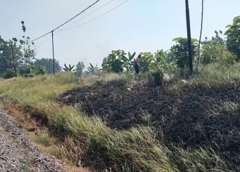 KAI Daop 7 Madiun Larang Pembakaran Jerami di Dekat Rel, Bisa Picu Hentian Luar Biasa Kereta Api