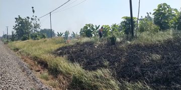 KAI Daop 7 Madiun Larang Pembakaran Jerami di Dekat Rel, Bisa Picu Hentian Luar Biasa Kereta Api