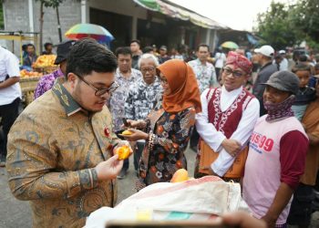 Pemkab Kediri Siapkan Peremajaan Bibit dan Edukasi Petani Usai Mangga Podang Lereng Wilis Raih Sertifikat Indikasi Geografis