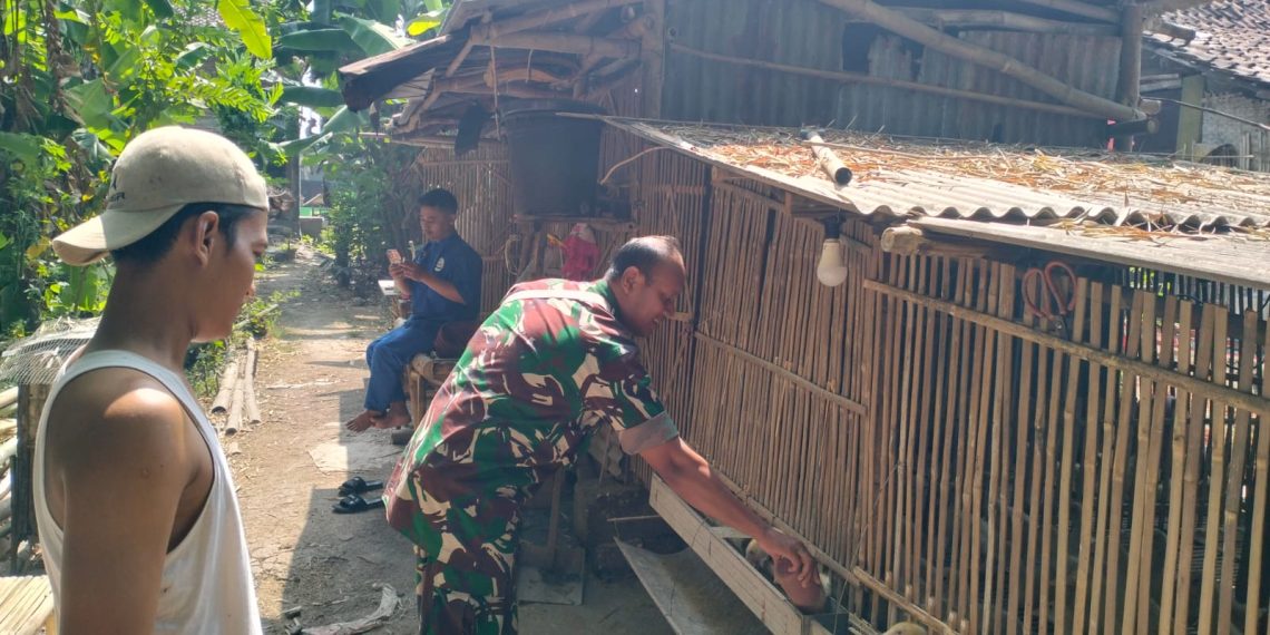 Satgas TMMD ke-130 Kodim 0814/Jombang Bantu Aktivitas Peternakan Warga demi Ketahanan Pangan