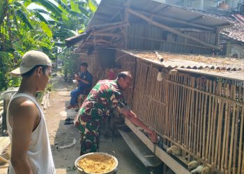 Satgas TMMD ke-130 Kodim 0814/Jombang Bantu Aktivitas Peternakan Warga demi Ketahanan Pangan